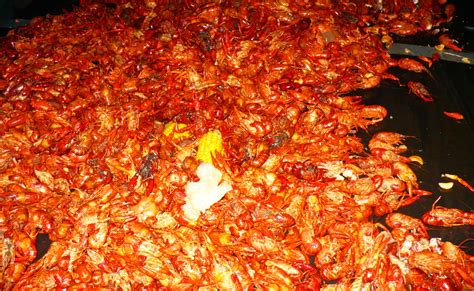 New Orlean's Championship Crawfish Boil Promises Over 20,000 Pounds of ...