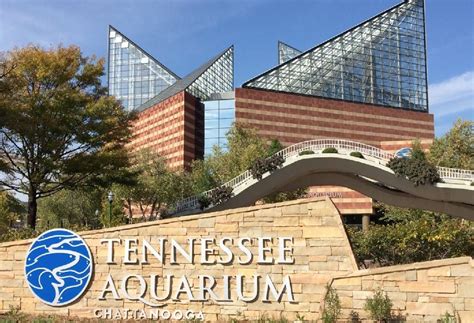 Attraction Tennessee Aquarium Chattanooga $100 Tennessee Aquarium Chattanooga, I Want To Travel ...