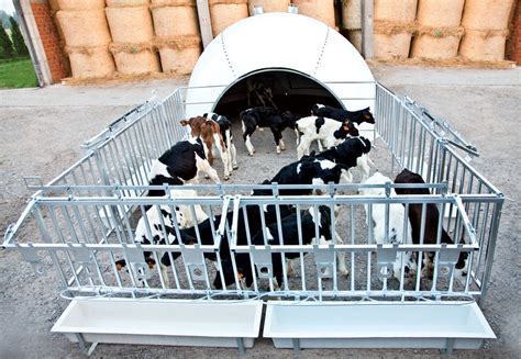 Livestock hutch - 16 PLACES - Siosfrance - calf / group / plastic