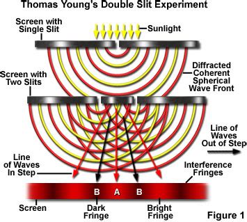 Molecular Expressions Microscopy Primer: Physics of Light and Color - Thomas Young's Double Slit ...