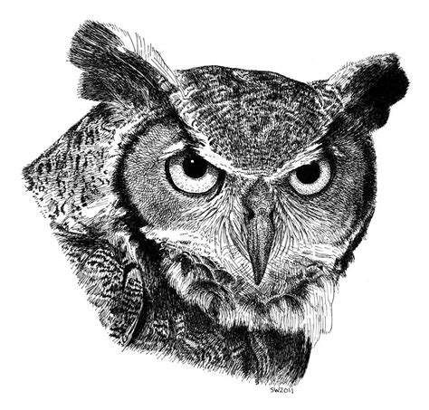 Great Horned Owl Drawing by Scott Woyak - Fine Art America