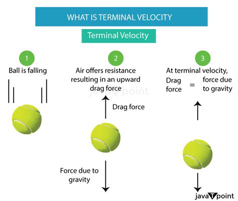 Terminal Velocity - Javatpoint