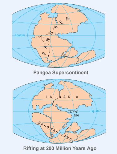 Pangea Rifting | BELAJAR GEOLOGI