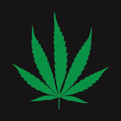 Best Cannabis Sativa Illustrations, Royalty-Free Vector Graphics & Clip Art - iStock