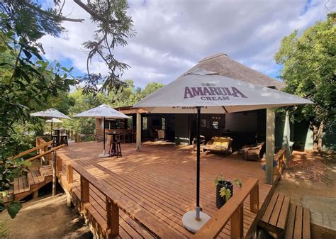 19 Kruger National Park Safari Packages and Lodges