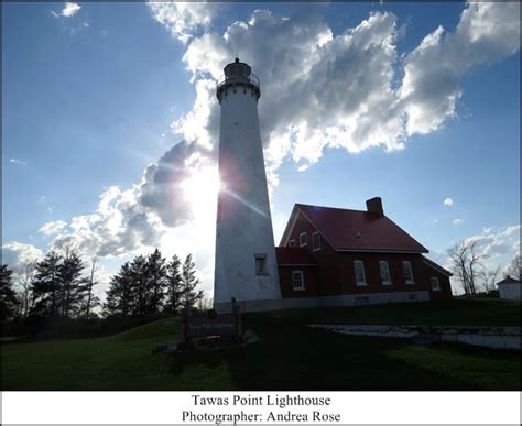 Tawas Point Birding Festival 2016