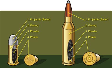 Hunter Course - Ammunition Flashcards | Quizlet