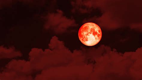 Halloween Red Moon in The Night Sky 2017891 Stock Video at Vecteezy