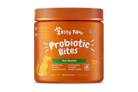 The 8 Best Probiotics for Dogs in 2023