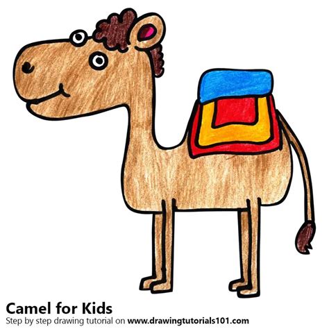 How to Draw a Camel for Kids (Animals for Kids) Step by Step ...