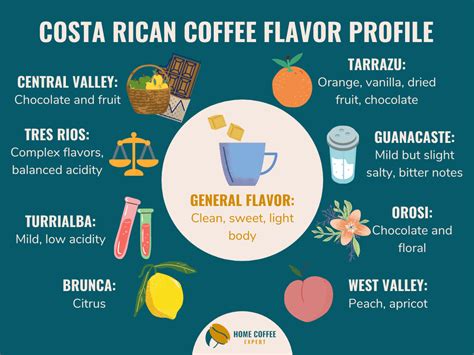 Costa Rican Coffee: Why You'll Love it Too [Beans & Brew Guide]