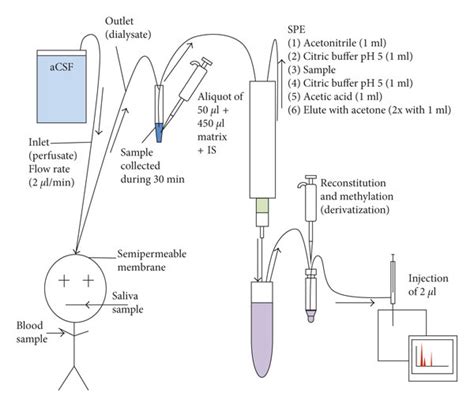 Sample preparation for the GC-MS analyses [8]. | Download Scientific Diagram