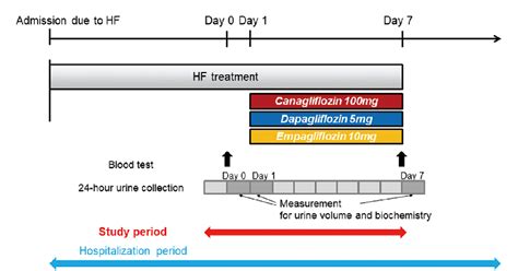 [PDF] Comparison of Canagliflozin, Dapagliflozin and Empagliflozin Added to Heart Failure ...