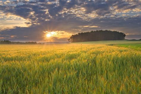 beautiful-field-at-sunset-relaxing-breath.jpg · The Epic Self