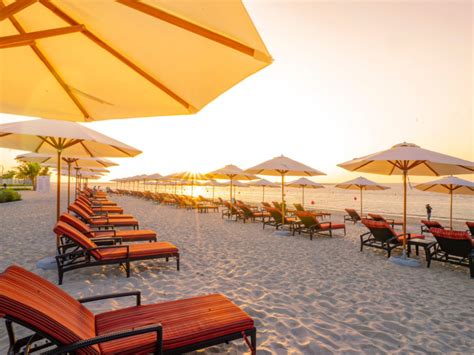 Dubai Islands Beach: New dog-friendly beach opens in Dubai