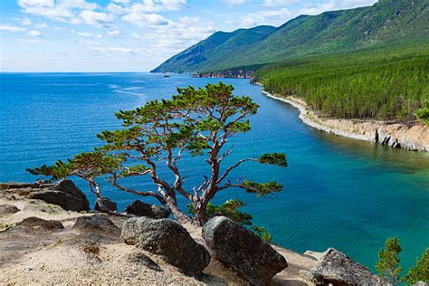 Lake Baikal Summer Stock Photos, Pictures & Royalty-Free Images - iStock