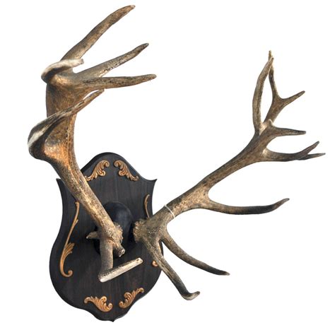 Red Stag Antlers - Taxidermy Mounts for Sale and Taxidermy Trophies for ...