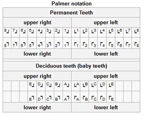 Palmer Notation Numbering System - joyrideidea