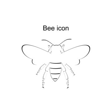 Honey Bee PNG Transparent Images Free Download | Vector Files | Pngtree