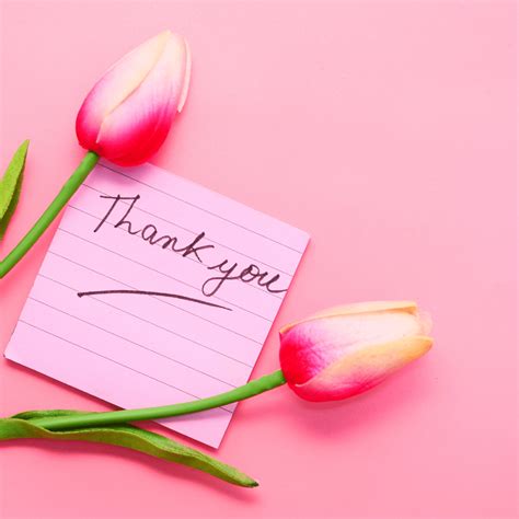 50 Simple Appreciation Messages to Express Your Gratitude