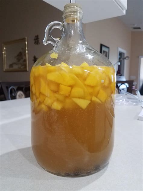 Mango Wine Recipe 5 Gallon | Blog Dandk