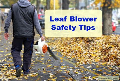 Gasoline Leaf Blower: Safety Guidelines and Maintenance Tips