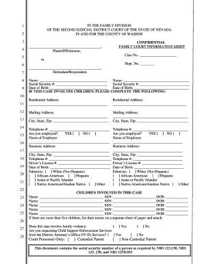 Family Court Information Sheet - Fill and Sign Printable Template Online