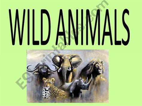 ESL - English PowerPoints: wild animals