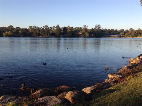 Forest Lake, Brisbane, Queensland, Australia | Forest lake, Natural landmarks, Travel