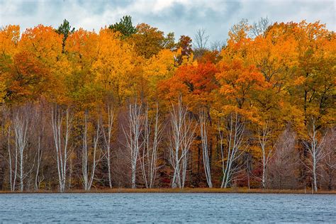 Here's What the Summer Drought Will Mean for Iowa Fall Colors