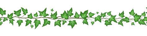 Seamless border with green ivy leaves isolated on white background ...