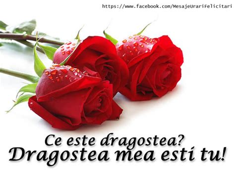 Felicitari de dragoste - Ce este dragostea? Dragostea mea esti tu! - mesajeurarifelicitari.com