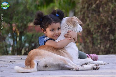 How to Teach our Children to be Kind to Animals?