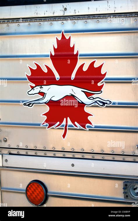 Greyhound bus logo hi-res stock photography and images - Alamy