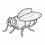 Premium Vector  Cartoon flies Illustration Cute coloring sketch template