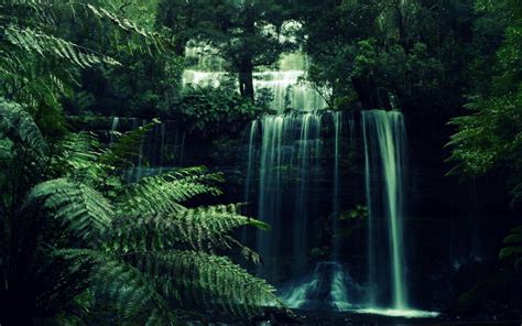 Dark Forest Aesthetic Wallpapers - Top Free Dark Forest Aesthetic Backgrounds - WallpaperAccess