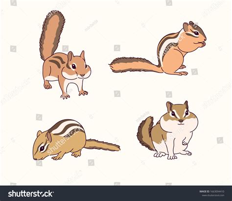 Cute Squirrel Drawing Collection Hand Drawn Stock Vector (Royalty Free) 1663094410 | Shutterstock