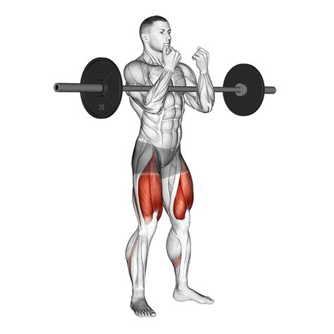 Zercher Squat: Benefits, Muscles Worked, and More - Inspire US