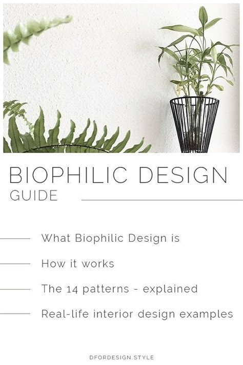 34 New Benefits of biophilic design With Creative Desiign | In Design Pictures