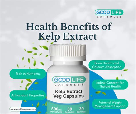 Health Benefits of Kelp Extract - Good Life Capsules