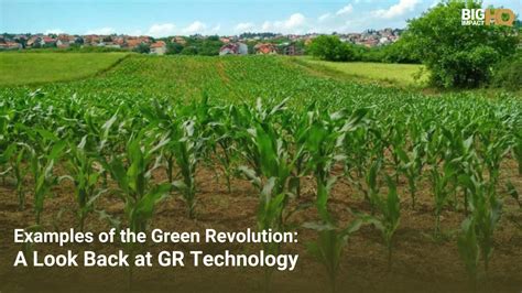 Examples of the Green Revolution: A Look Back at GR Technology | BigImpactHQ™