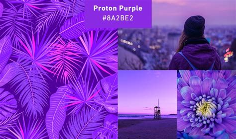 Purple Color Schemes, Design Applications, Meaning, and More