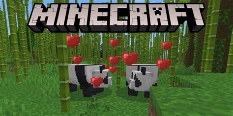 How to Tame Pandas in Minecraft? (2025 Simple Guide)