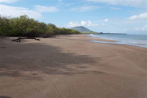 Santiago Island | Lava fields and wildlife at Puerto Egas, Bucaneer Cove & Espumilla beach ...