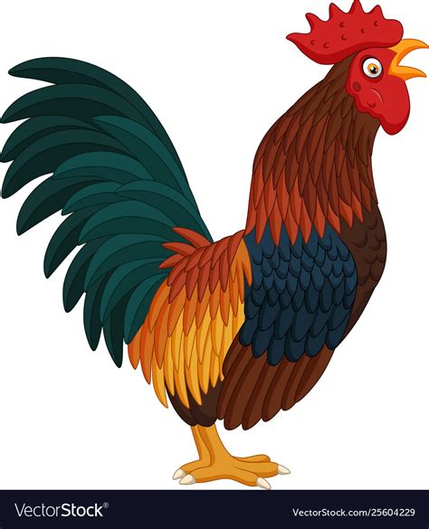 Cartoon rooster crowing on white background Vector Image