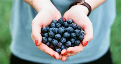 Bilberry: Origin, Ultimate Nutrition, Dosage, Interaction, Health ...