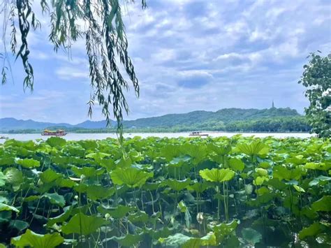 The Eternal Charm of West Lake: Exploring the Perfect Fusion of Chinese Traditional Culture and Natu