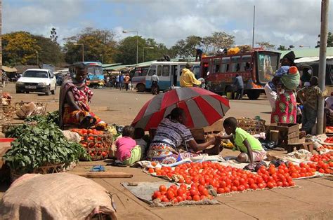 Small Business Ideas in Rural Areas in South Africa - Nexin Startups