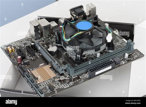 CPU cooler fan is installing on new, modern motherboard Stock Photo - Alamy