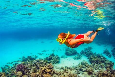 The 18 Best Snorkeling Spots In The Bahamas | Sandals